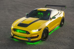 Ford "Ole Yeller" Mustang bred from Shelby GT350®