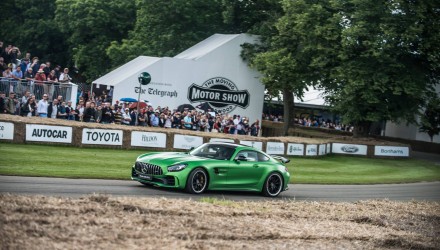 Mercedes AMG GT-R, Goodwood