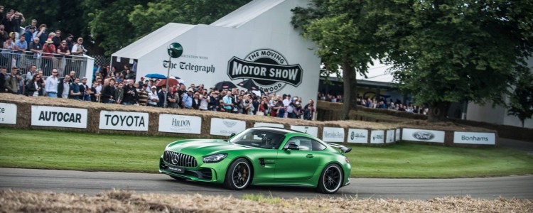 Mercedes AMG GT-R, Goodwood