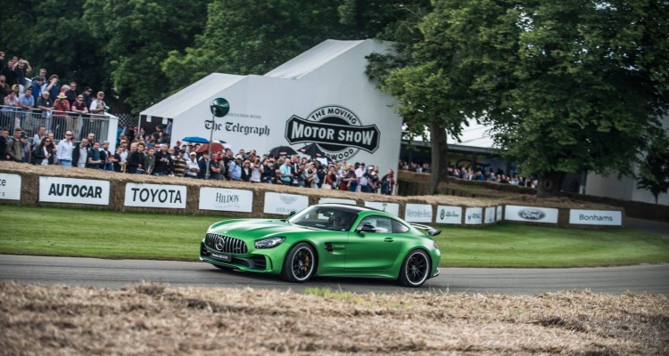 Mercedes AMG GT-R, Goodwood