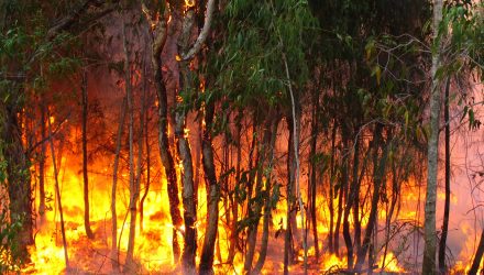 incendie voiture