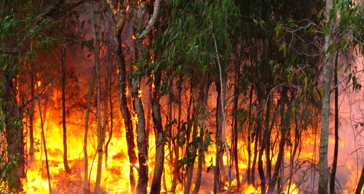 incendie voiture