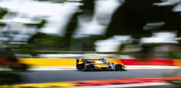 elms