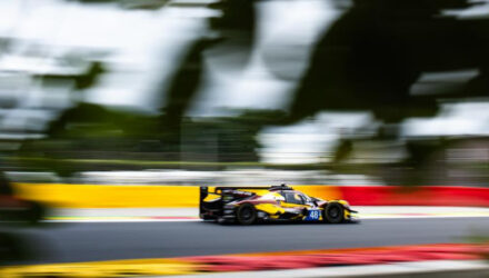 elms