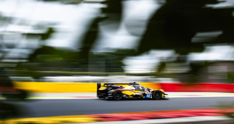 elms