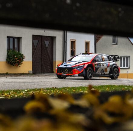 wrc crash