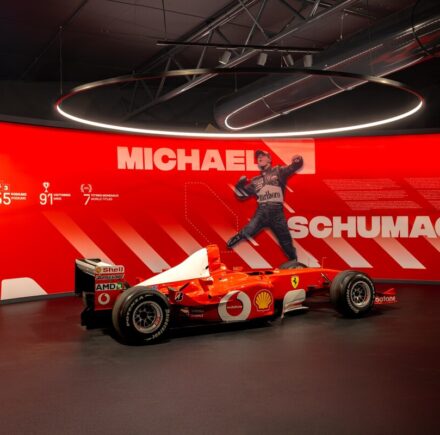 LE MUSEE DU MANS